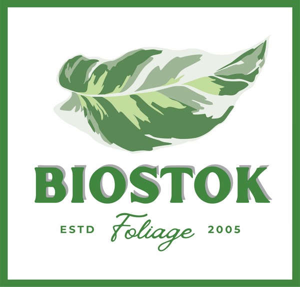 Biostok Foliage