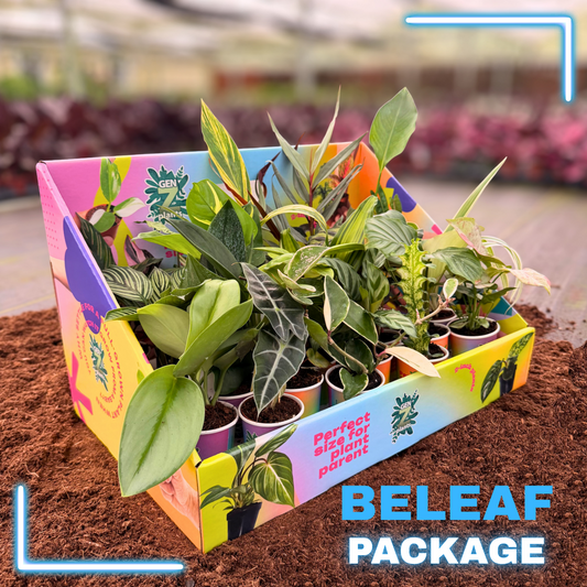 BELEAF Package 2" Plants