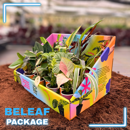 BELEAF Package 2" Plants