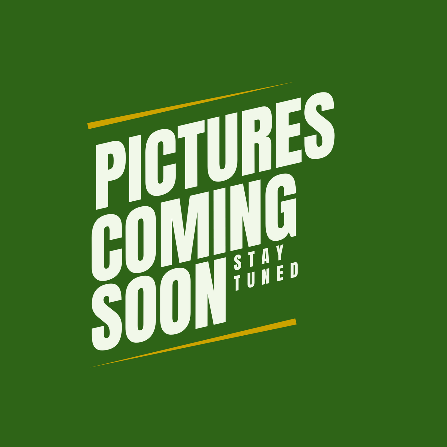 6" Anthurium Crystallinum