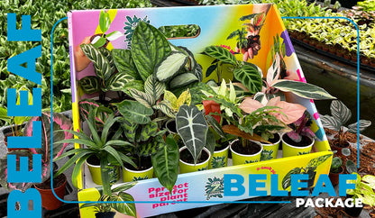 Basic Package - BELEAF 2" Plants