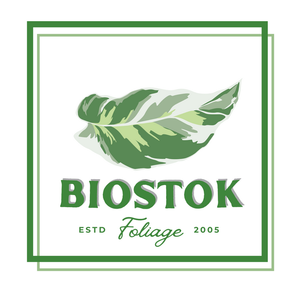 Biostok Foliage