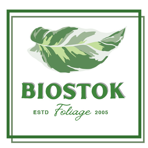 Biostok Foliage